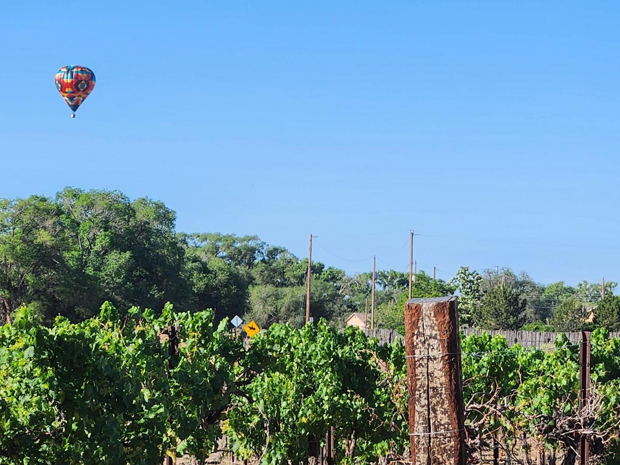 Red Mountain Manor Vineyard And Guesthouse Rio Rancho Esterno foto